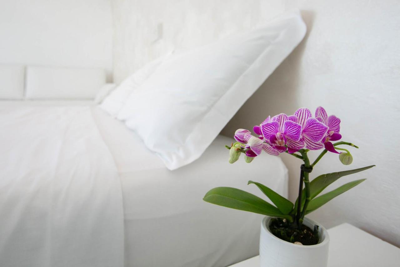 Hotel Nuovo Giardino Римини Экстерьер фото